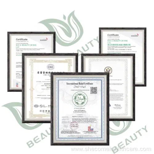 ISO Certified Prostate Health Capsules